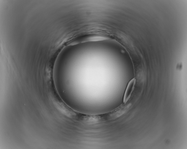 X0000091910282200709051425