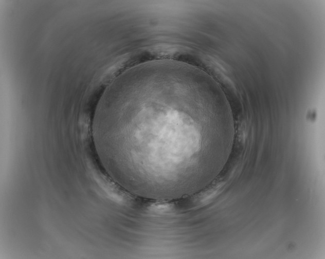 X0000091910283200709051425