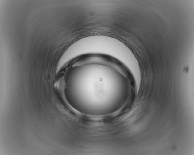 X0000091910284200709051425