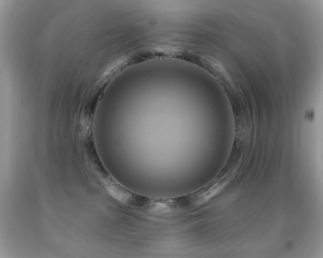 X0000091910285200709051425