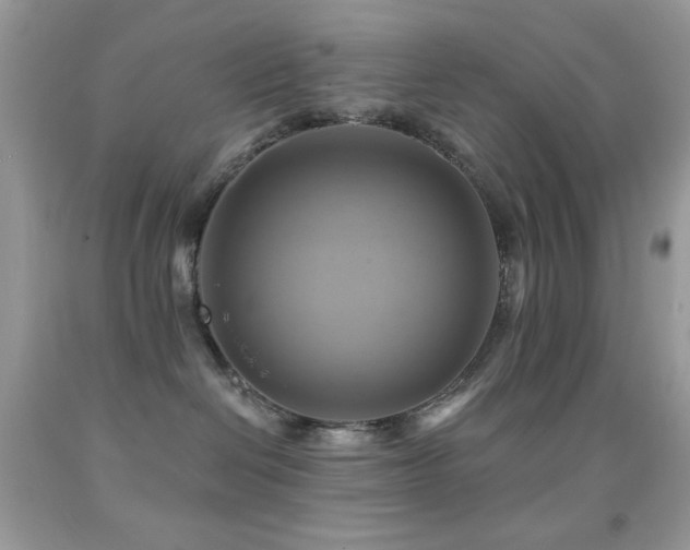 X0000091910286200709051425