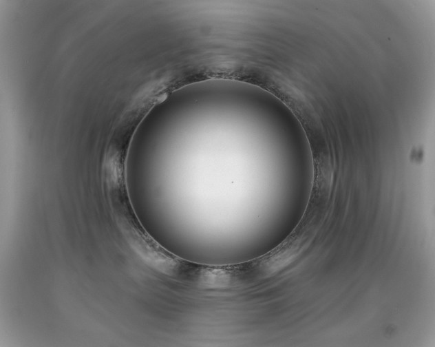 X0000091910287200709051425
