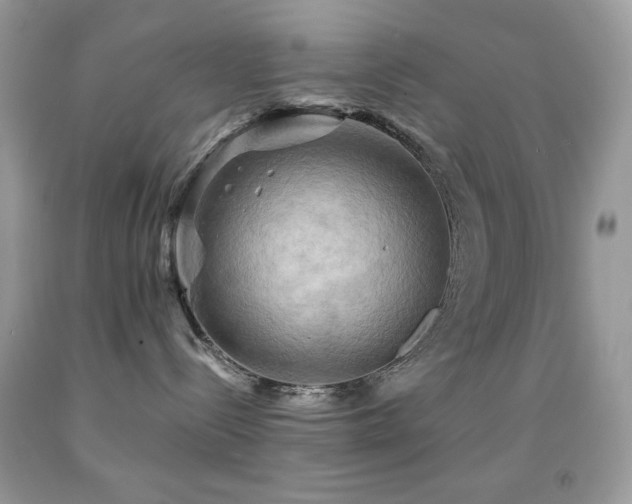 X0000091910288200709051425