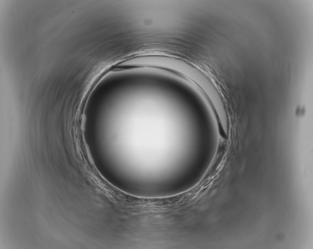 X0000091910289200709051424