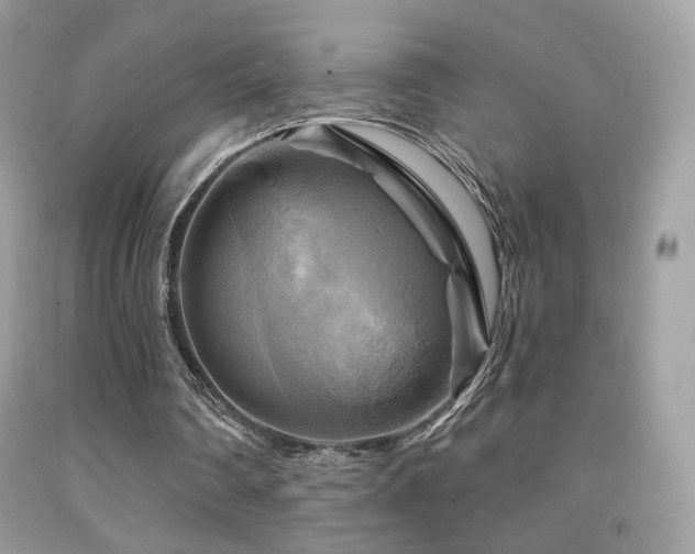 X0000091910290200709051424