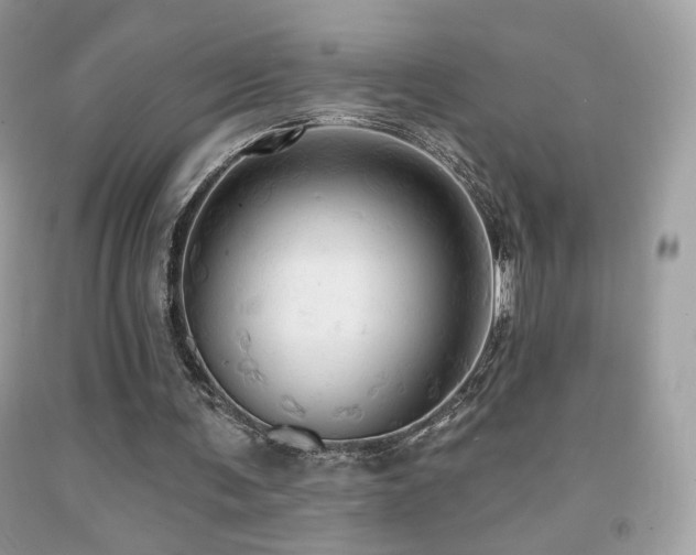 X0000091910291200709051424