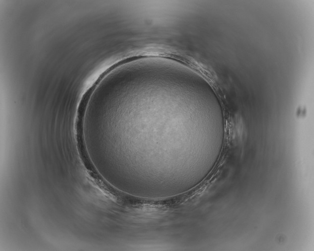 X0000091910292200709051424