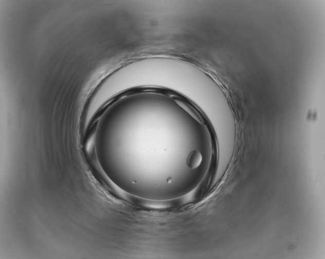 X0000091910293200709051424