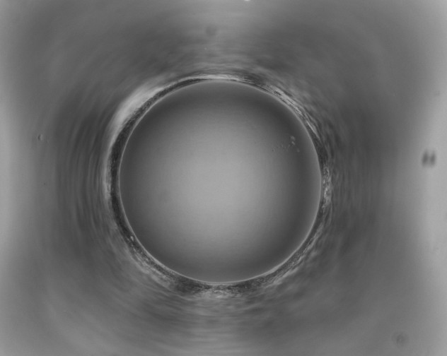 X0000091910294200709051424