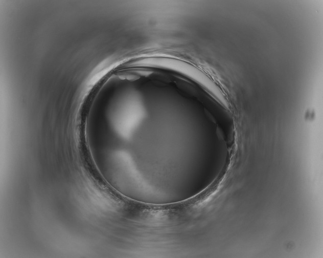 X0000091910295200709051424