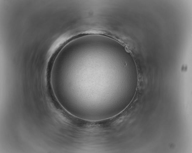 X0000091910296200709051424