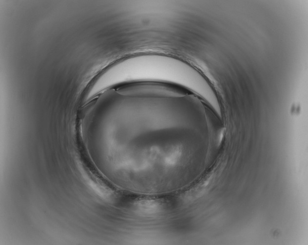 X0000091910299200709051424