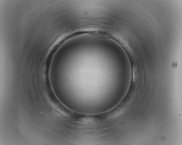 X0000091910300200709051424