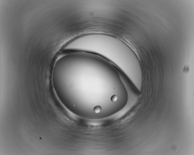 X0000091910301200709051424