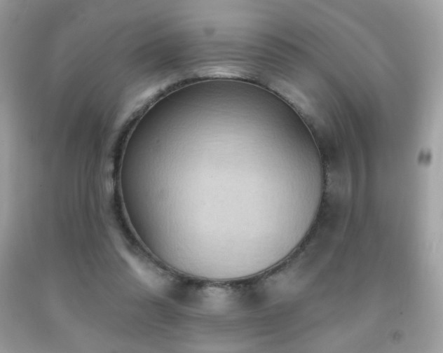 X0000091910302200709051424