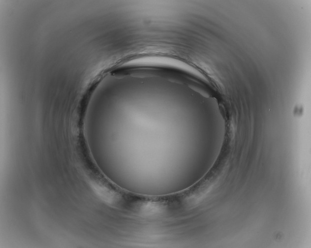 X0000091910303200709051424