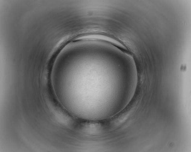 X0000091910304200709051424