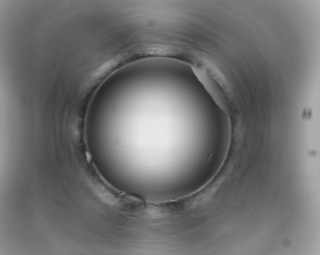 X0000091910305200709051424