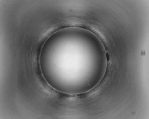 X0000091910306200709051424
