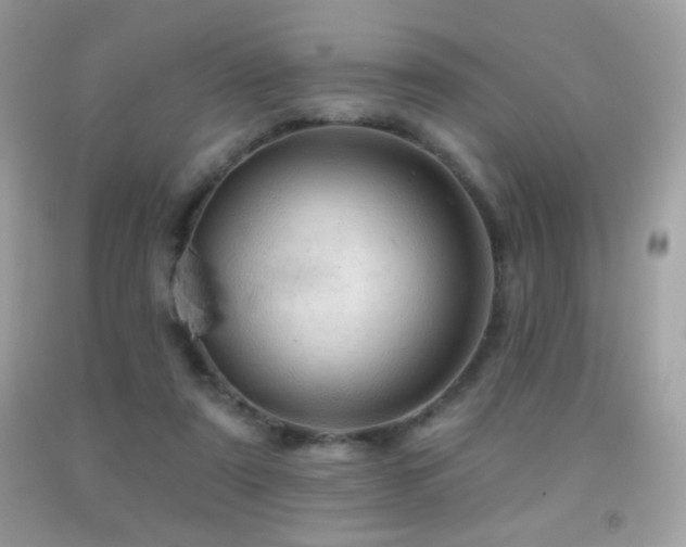 X0000091910307200709051424