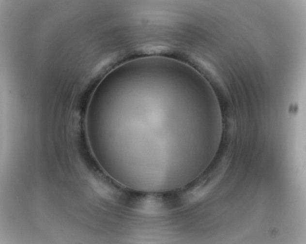 X0000091910308200709051424