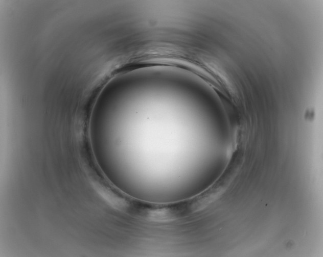 X0000091910309200709051424