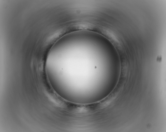 X0000091910310200709051424