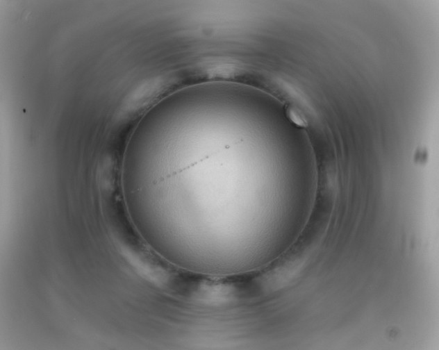 X0000091910311200709051424