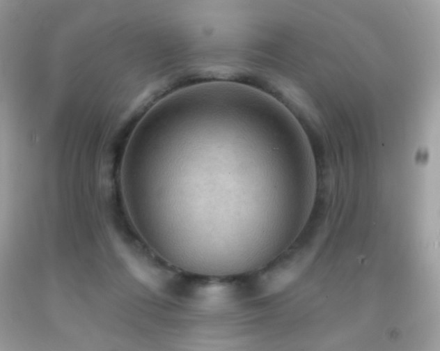 X0000091910312200709051424