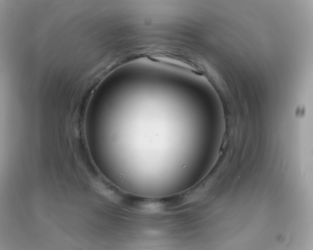 X0000091910313200709051424