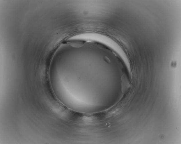 X0000091910314200709051424