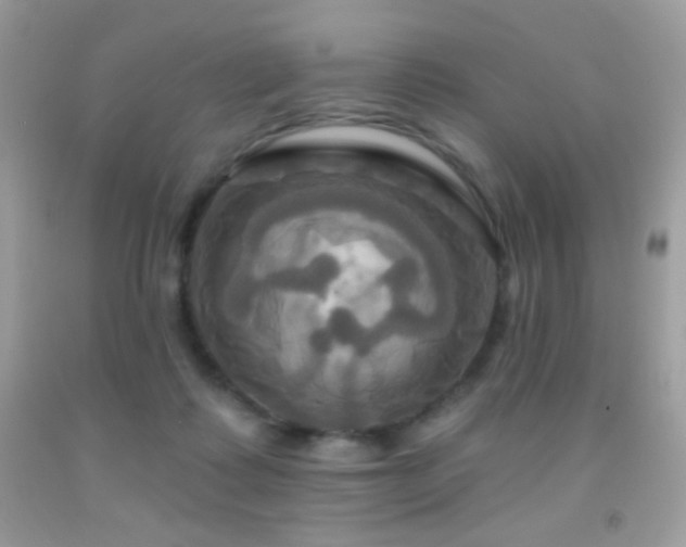 X0000091910315200709051424