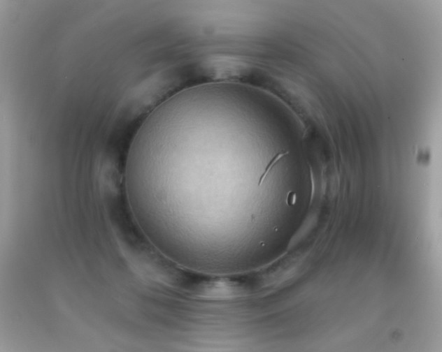 X0000091910316200709051424