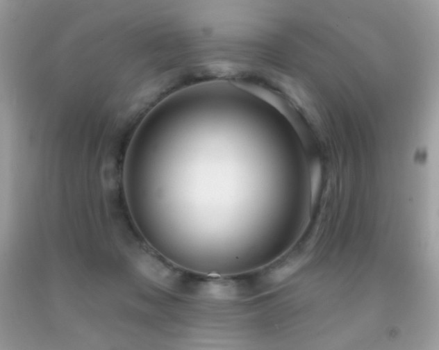 X0000091910317200709051424