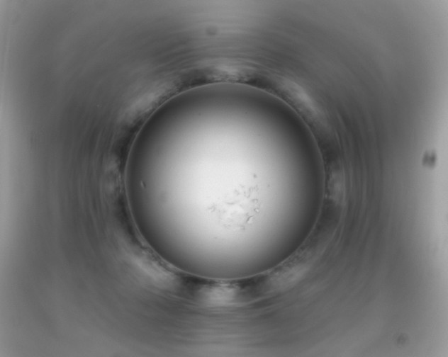 X0000091910318200709051424
