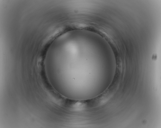 X0000091910319200709051424