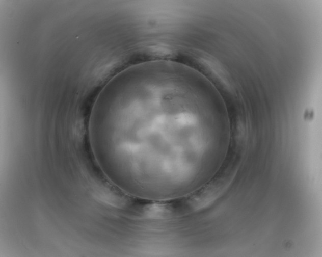 X0000091910320200709051424
