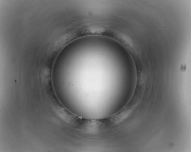 X0000091910321200709051424