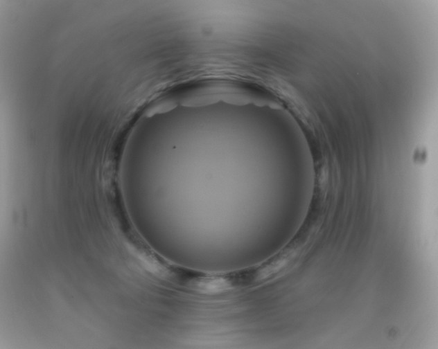 X0000091910322200709051424