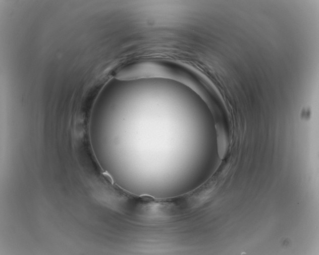 X0000091910323200709051424