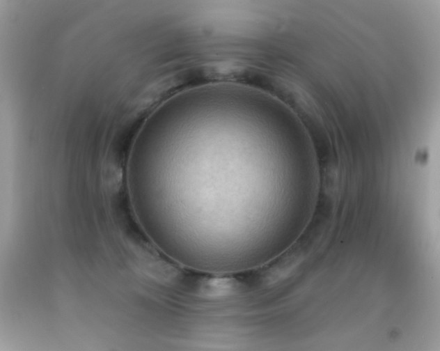 X0000091910324200709051424