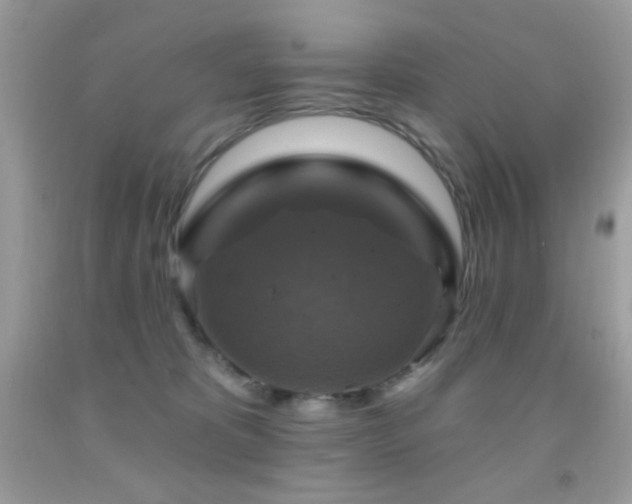 X0000091910325200709051424