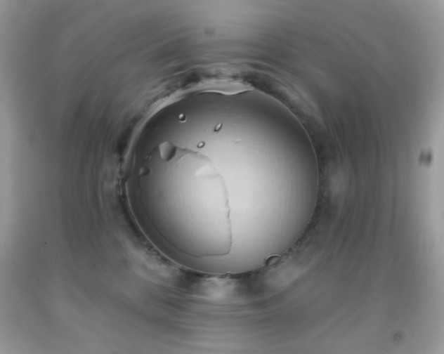 X0000091910328200709051424