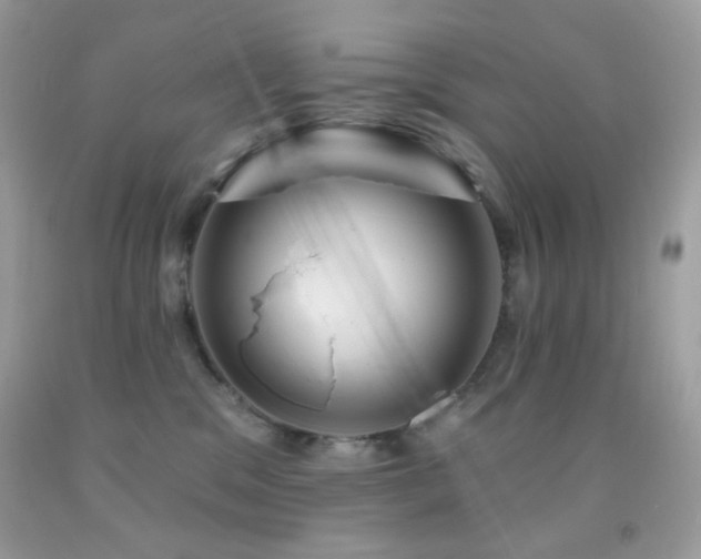 X0000091910329200709051424
