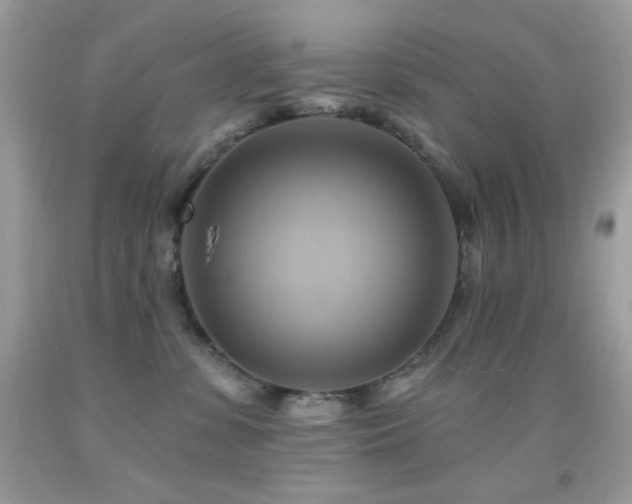 X0000091910331200709051424