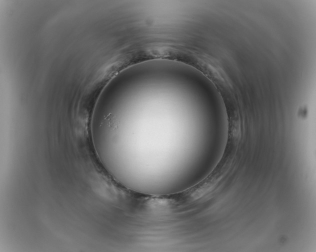 X0000091910332200709051424