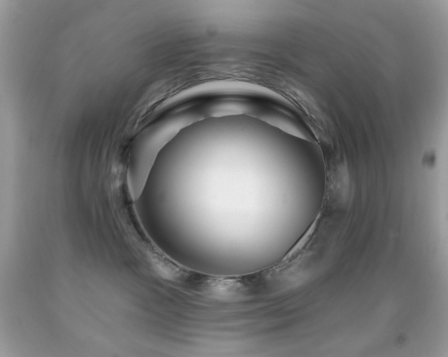 X0000091910333200709051424