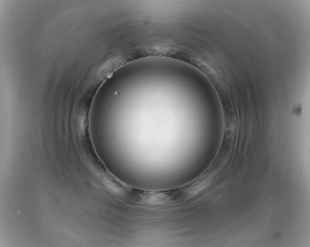 X0000091910334200709051424