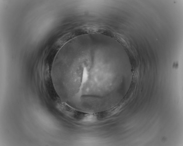 X0000091910335200709051424