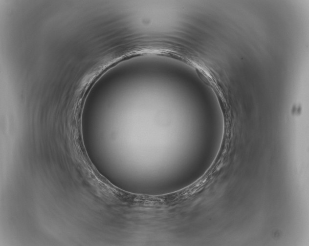 X0000091910337200709051423